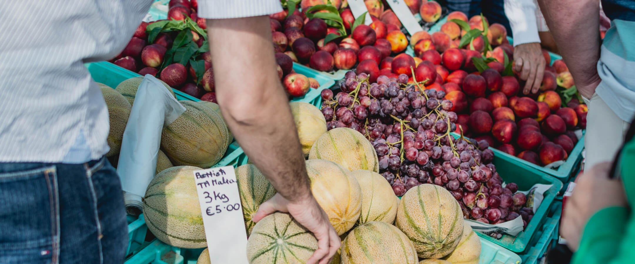 Die richtigen Lebensmittel