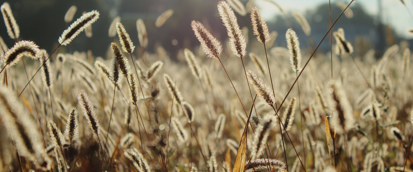Die richtigen Lebensmittel